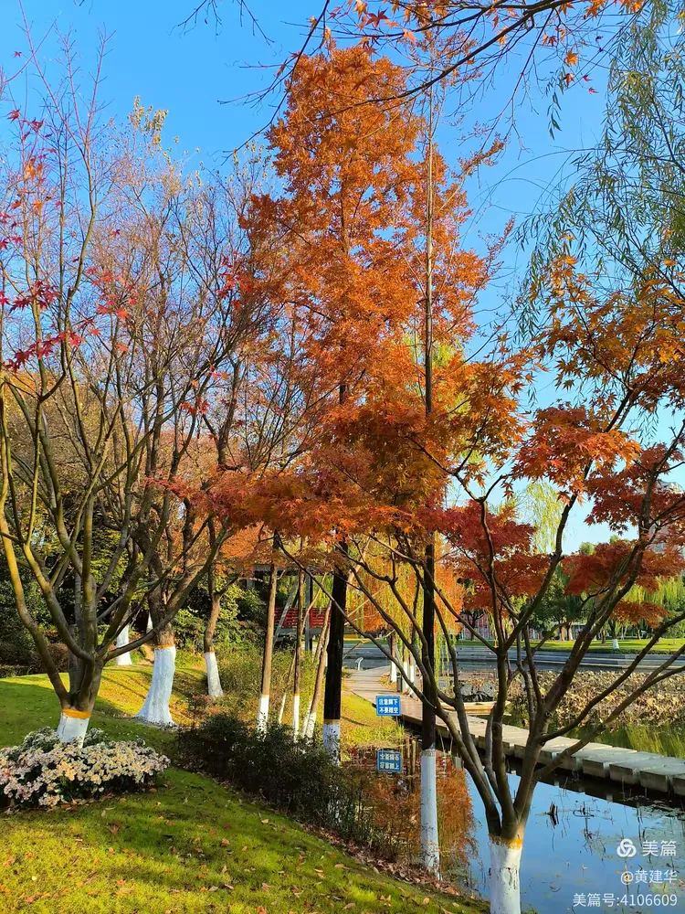 唐闸公园秋色美